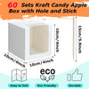 Kraft Candy Apple Boxes with Hole and Stick, 10 piece Set, 4" x 4" x 4"