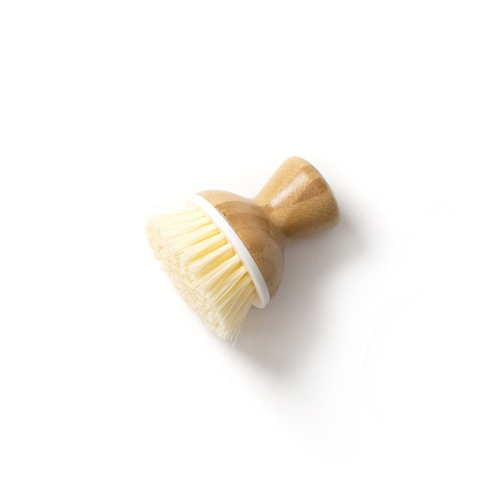 Bubble Up Replacement Dish Brush