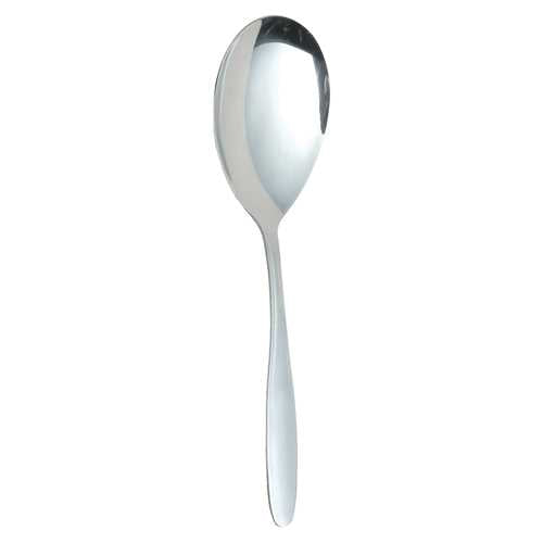 Large Spoon Stainless Steel